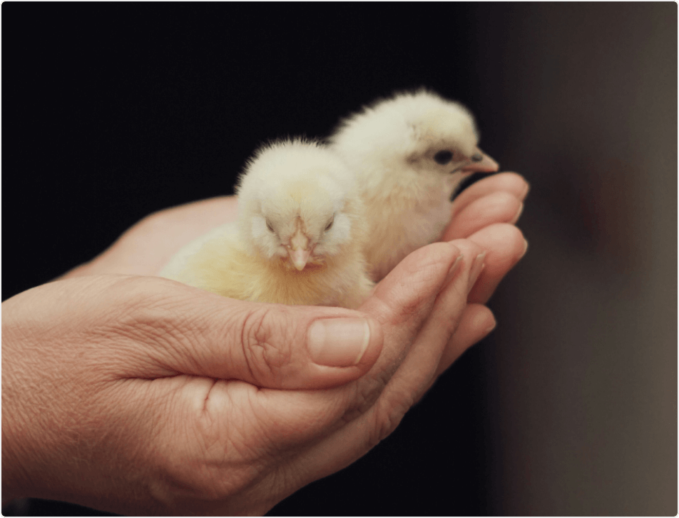 HAPPY WORLD VEGAN DAY! 